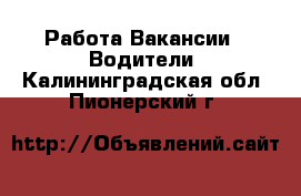 Работа Вакансии - Водители. Калининградская обл.,Пионерский г.